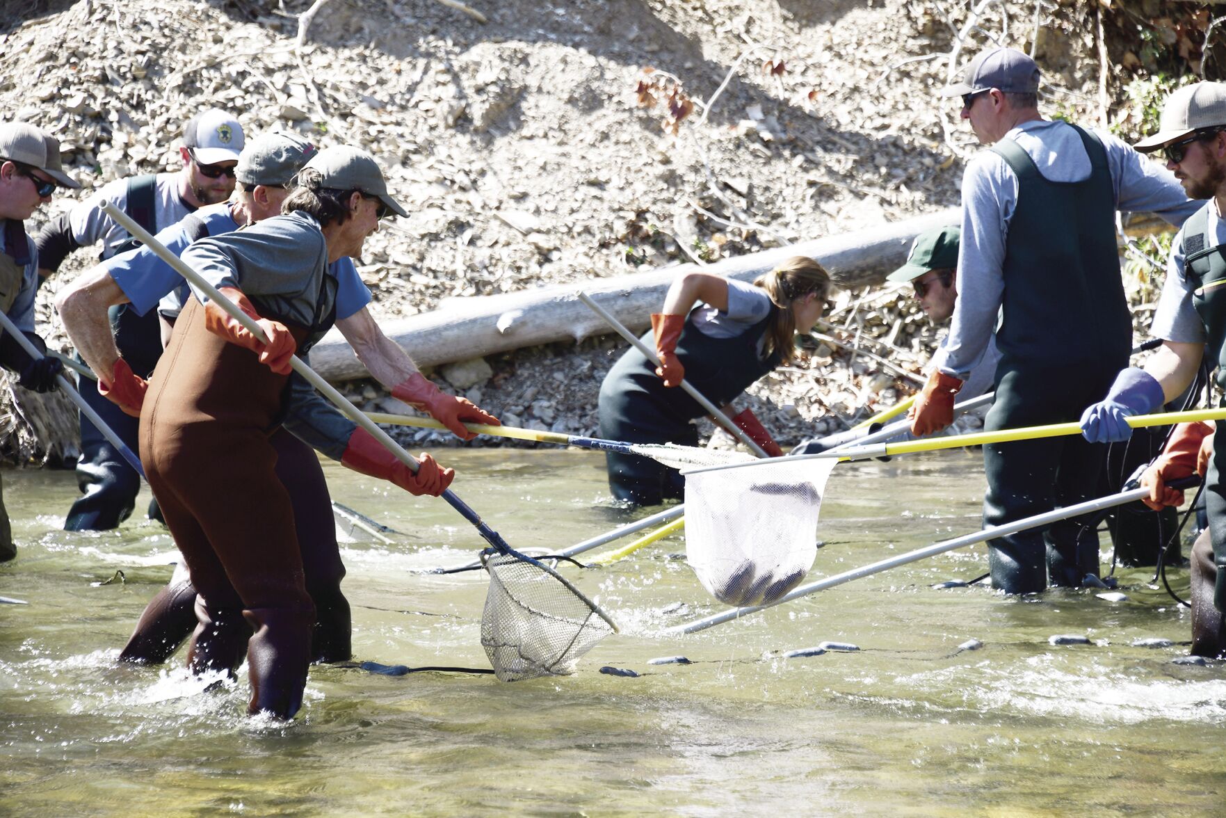 21-09-22 Bigwood River Trout Study 2 Roland C.jpg